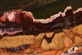 Polished Packsaddle Tiger Eye Slab - Western Australia #216804-1